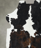 Tricolor Cowhide Rug #B22562