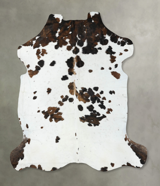 Tricolor Cowhide Rug #B22579