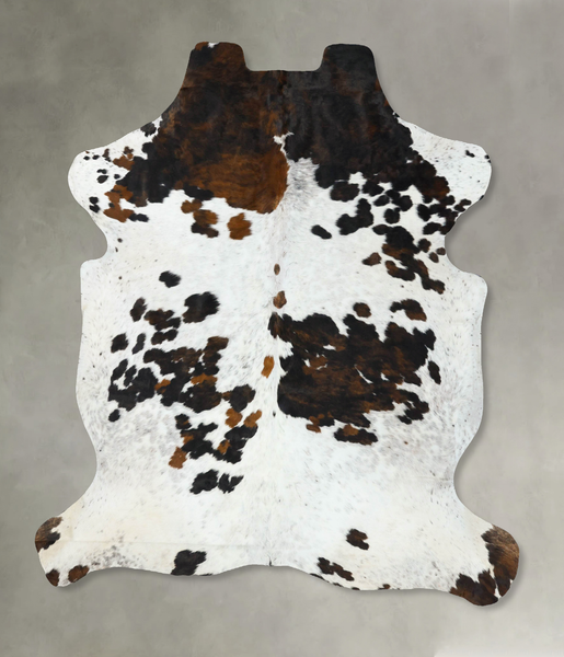 Tricolor Cowhide Rug #B22731
