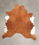 Brown and White Regular Cowhide Rug #B2274