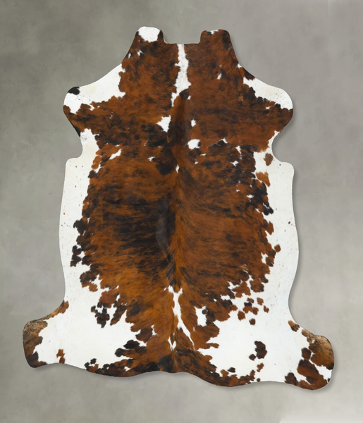 Tricolor Cowhide Rug #B22756