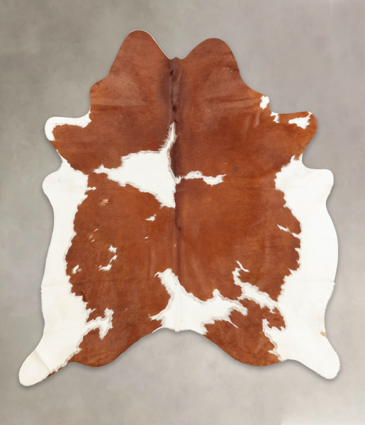 Brown and White Cowhide Rug #B2276