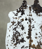 Tricolor Cowhide Rug #B22831