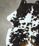 Tricolor Cowhide Rug #B22849