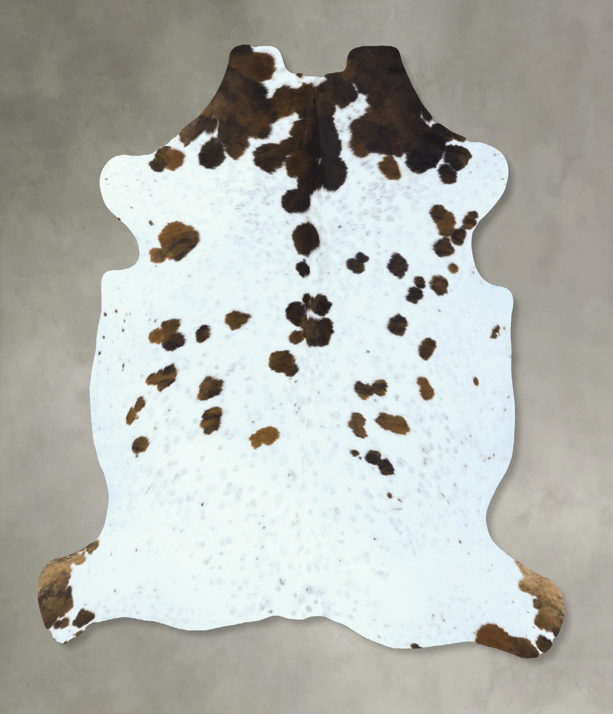 Tricolor Cowhide Rug #B22850