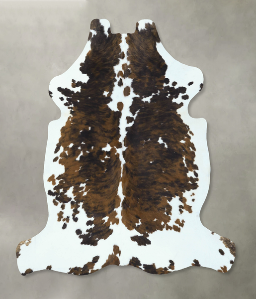 Tricolor Cowhide Rug #B22854