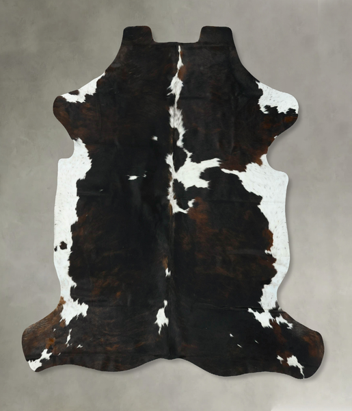 Tricolor Cowhide Rug #B22903