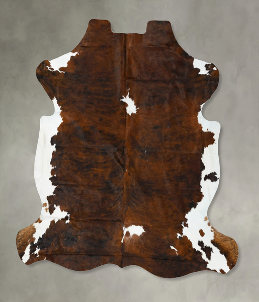 Tricolor Cowhide Rug #B22940