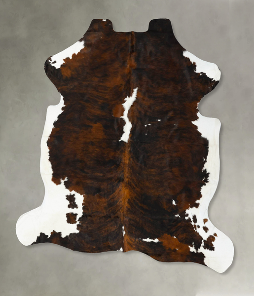 Tricolor Cowhide Rug #B22954