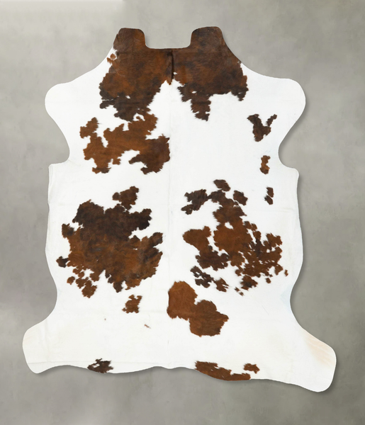 Tricolor Cowhide Rug #B22988