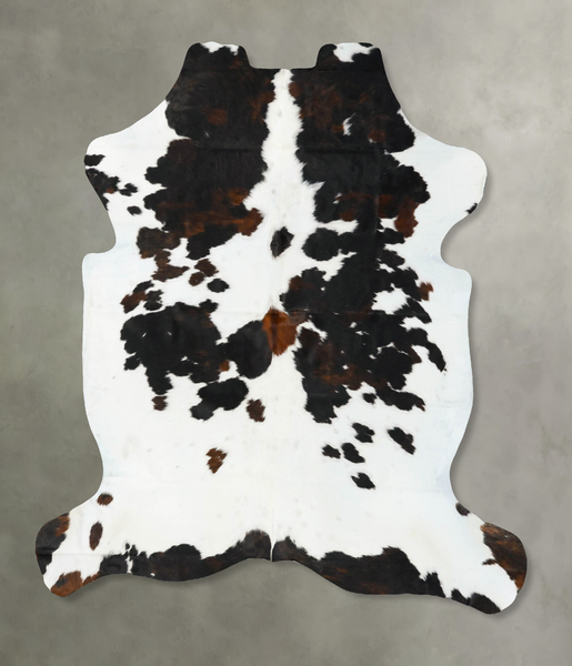 Tricolor Cowhide Rug #B22994