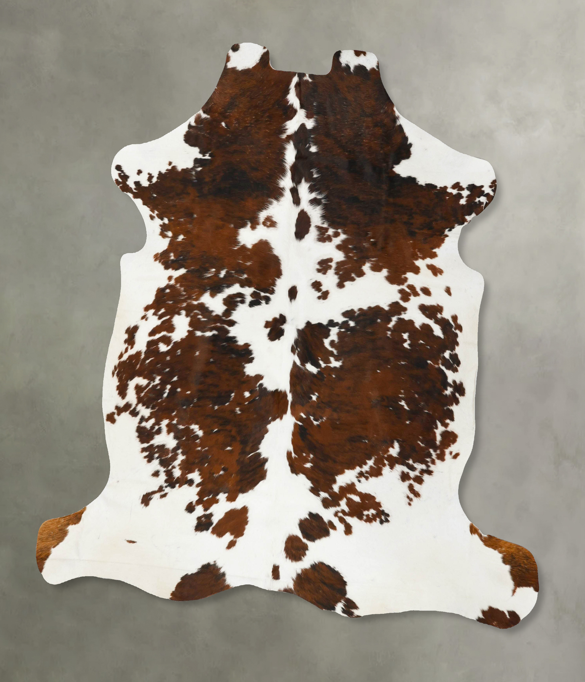 Tricolor Cowhide Rug #B23026