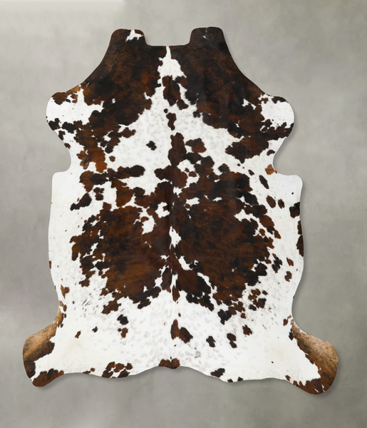 Tricolor Cowhide Rug #B23031
