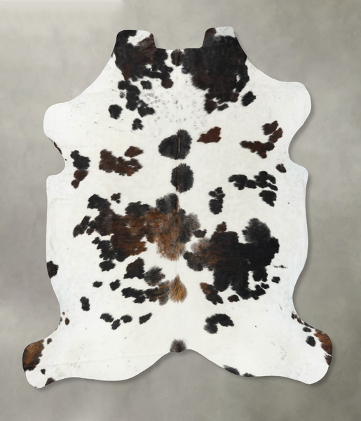 Tricolor Cowhide Rug #B23049