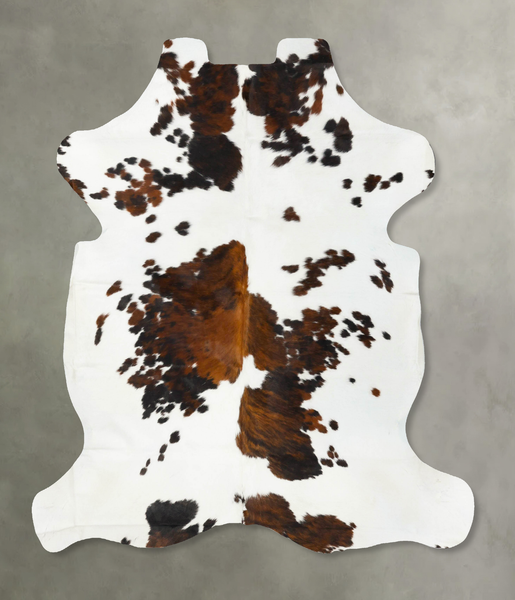 Tricolor Cowhide Rug #B23077