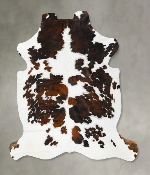 Tricolor Cowhide Rug #B23101