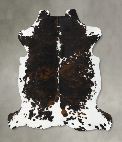 Tricolor Cowhide Rug #B23106