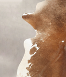 Brown and White Regular Cowhide Rug #B2324