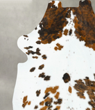 Tricolor Cowhide Rug #B23272
