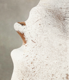 Salt and Pepper Brown Cowhide Rug #B2330