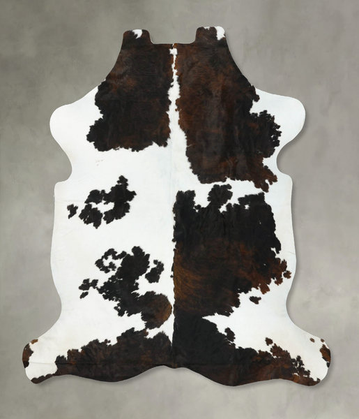 Tricolor Cowhide Rug #B23322