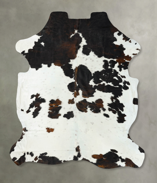 Tricolor Cowhide Rug #B23378