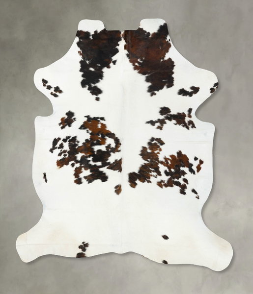 Tricolor Cowhide Rug #B23386