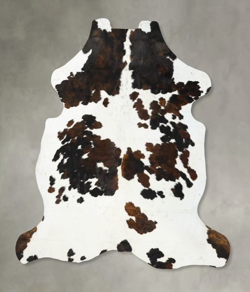 Tricolor Cowhide Rug #B23437