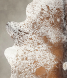 Salt and Pepper Brown Cowhide Rug #B2348