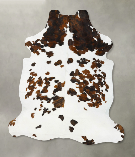 Tricolor Cowhide Rug #B23483