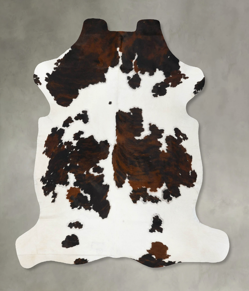Tricolor Cowhide Rug #B23663