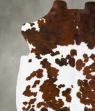 Tricolor Cowhide Rug #B23697