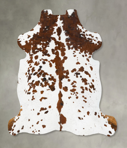 Tricolor Cowhide Rug #B23745