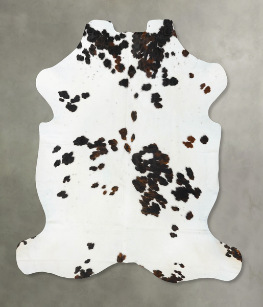 Tricolor Cowhide Rug #B23811