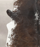 Salt and Pepper Brown Cowhide Rug #B2394