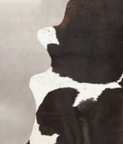 Chocolate and White Cowhide Rug #B2397