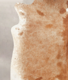 Brown and White Regular Cowhide Rug #B2398