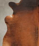 Brown with Red Cowhide Rug #B2415