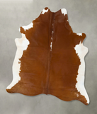 Brown and White Regular Cowhide Rug #B24269