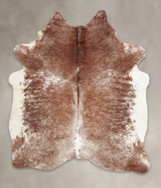 Brown with Red Cowhide Rug #B2439