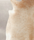 Caramel Cowhide Rug #B2476