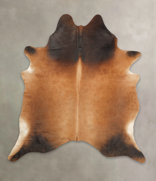 Brown with Red Cowhide Rug #B2493