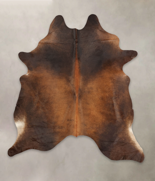 Brown with Red Cowhide Rug #B2496