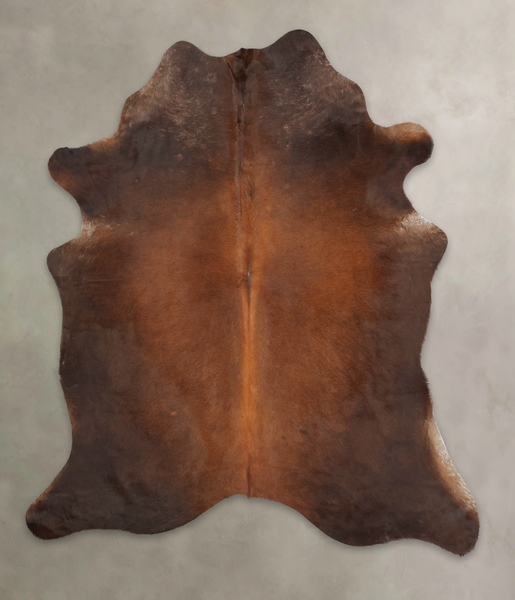 Brown with Red Cowhide Rug #B2524