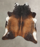Brown with Red Cowhide Rug #B2533