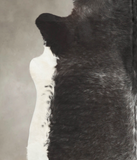 Black and White Cowhide Rug #B2568