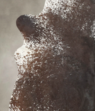 Salt and Pepper Brown Cowhide Rug #B2572