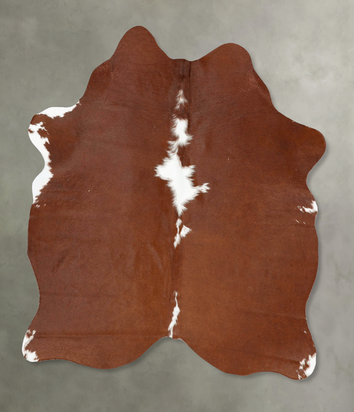 Brown and White Regular Cowhide Rug #B25948