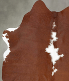 Brown and White Regular Cowhide Rug #B25948