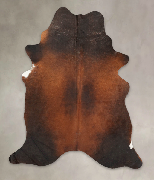 Brown with Red Cowhide Rug #B2623
